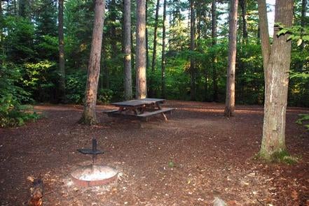 Camper submitted image from Sawbill Lake Campground - Superior National Forest - 3