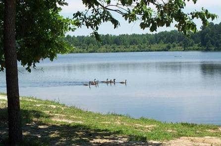 Camper submitted image from Chewalla Lake Recreation Area - 5