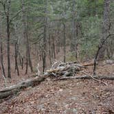 Review photo of Beavers Bend State Park Campground by Katie K., September 12, 2016