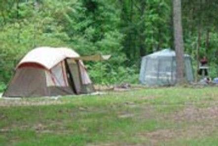 Camper submitted image from Dub Patton Campground - 5