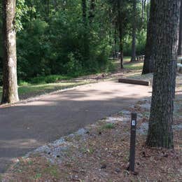 Public Campgrounds: Dub Patton Recreation Area