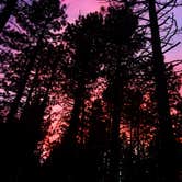 Review photo of New Shady Rest Campground by Katie K., September 12, 2016