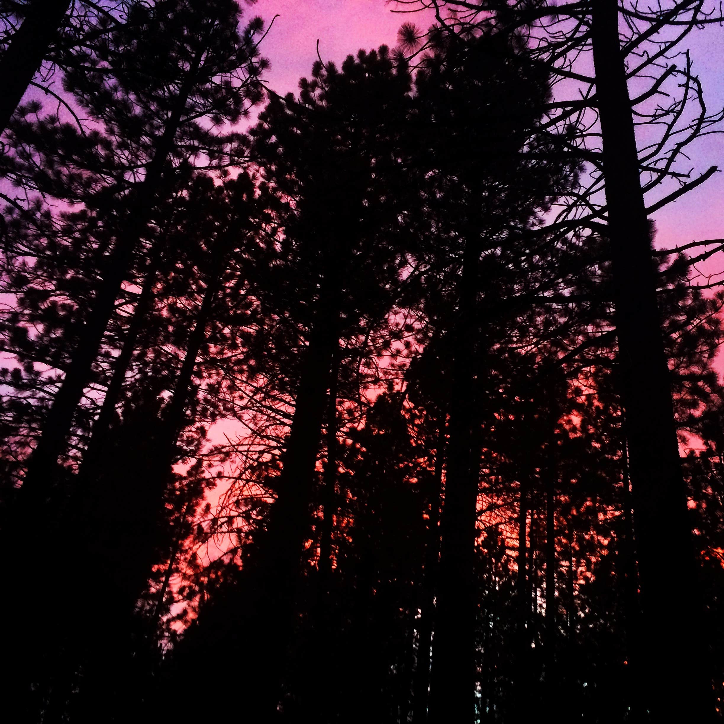 Camper submitted image from New Shady Rest Campground - 2