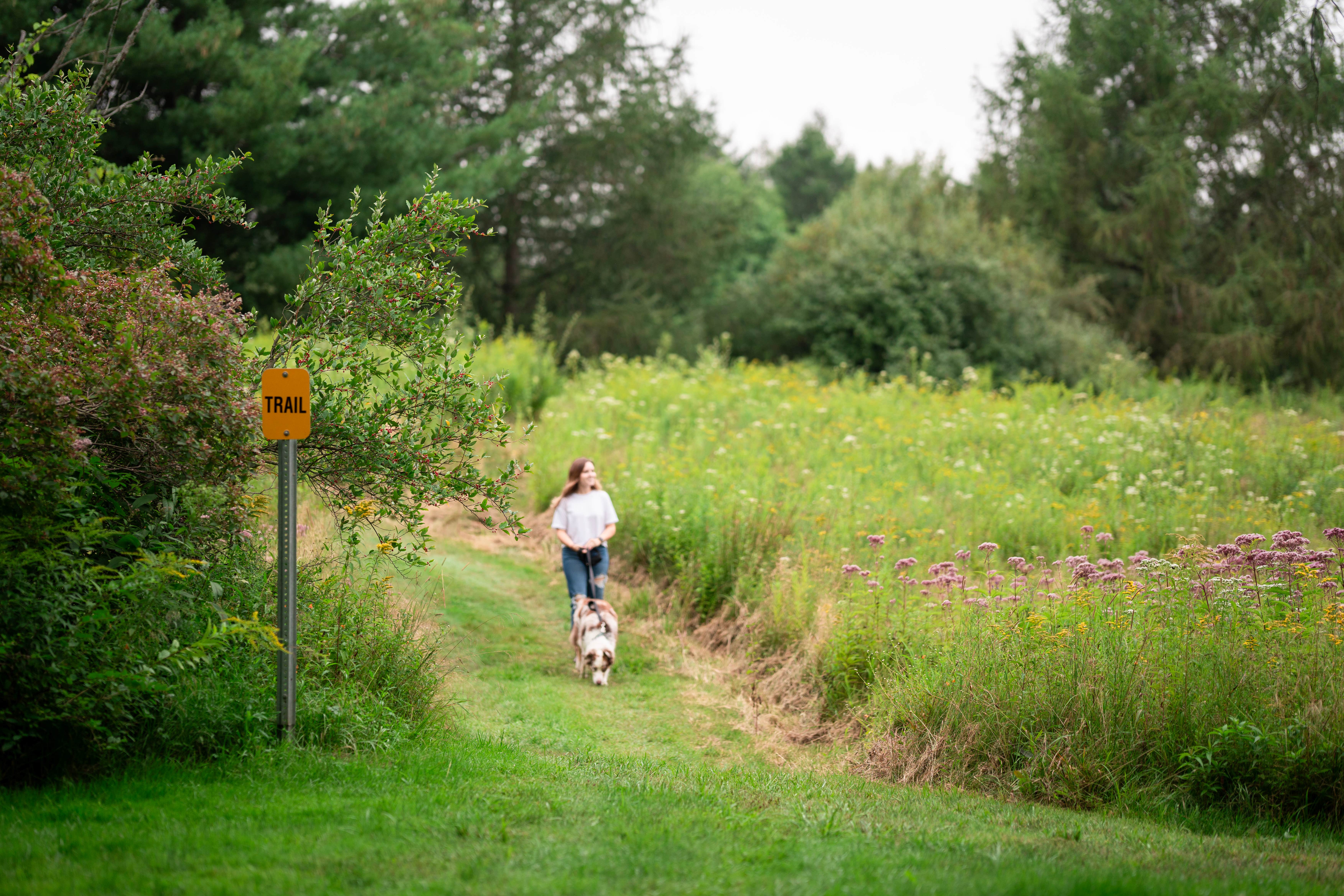 Shelley N.'s photo of camping with pets at Stay Bristol Woodlands near Hilton, NY