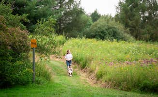 Shelley N.'s photo of camping with pets at Stay Bristol Woodlands near Canandaigua, NY