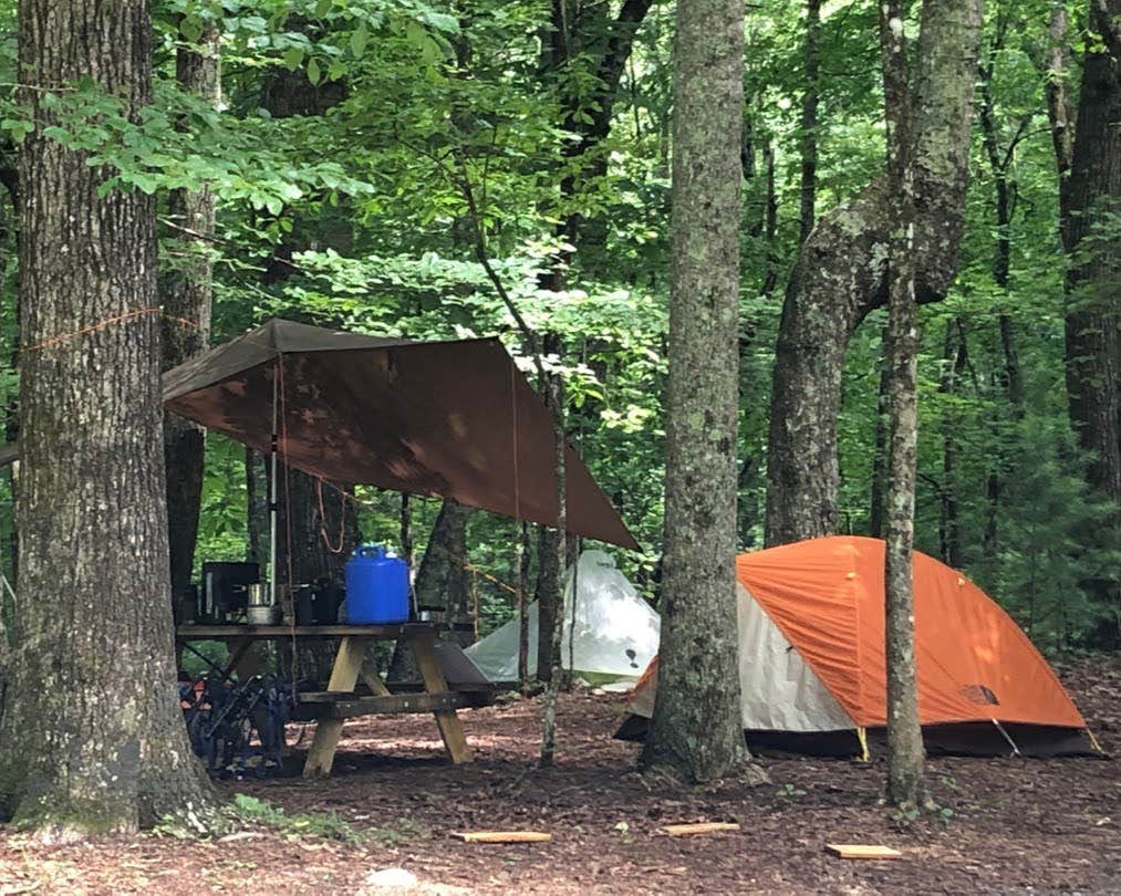 Dupont B.'s photo at DuPont Bike Retreat near Flat Rock, NC