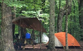 Dupont B.'s photo at DuPont Bike Retreat in North Carolina