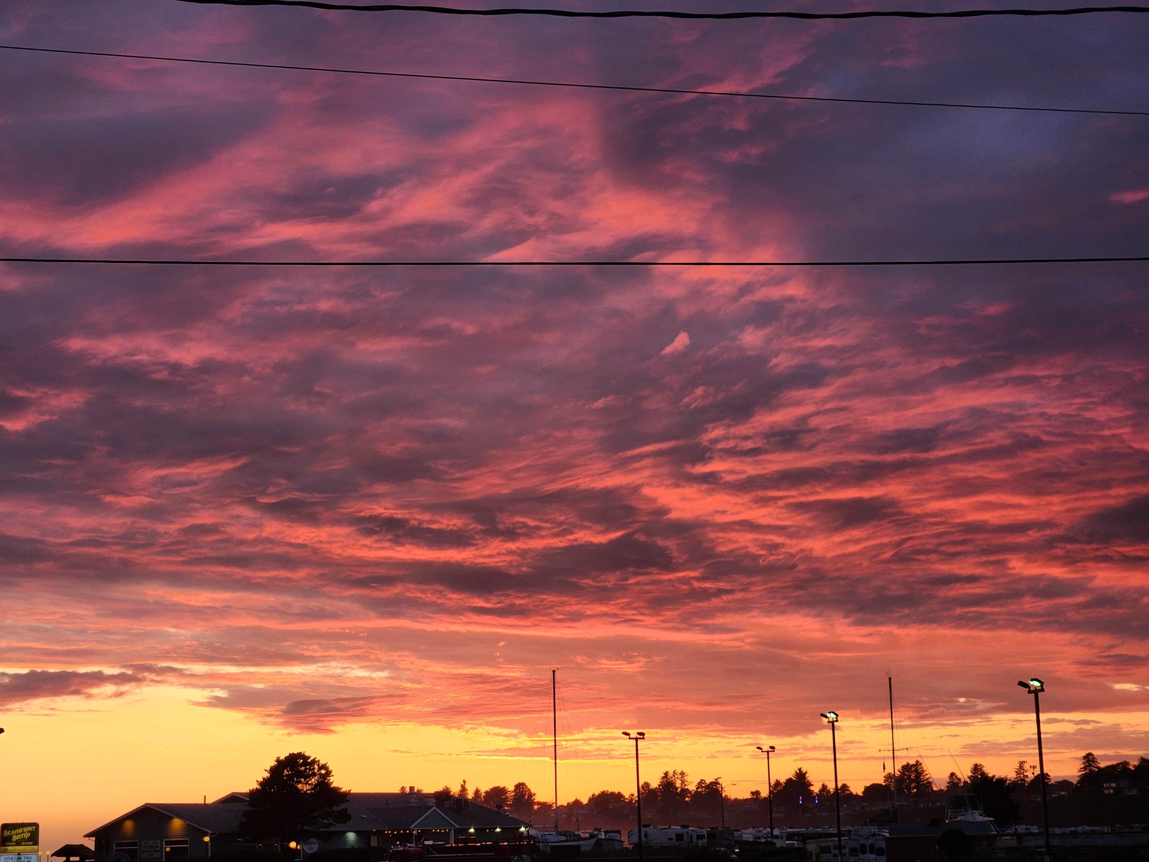 Camper-submitted photo at Driftwood RV Park near Smith River, CA
