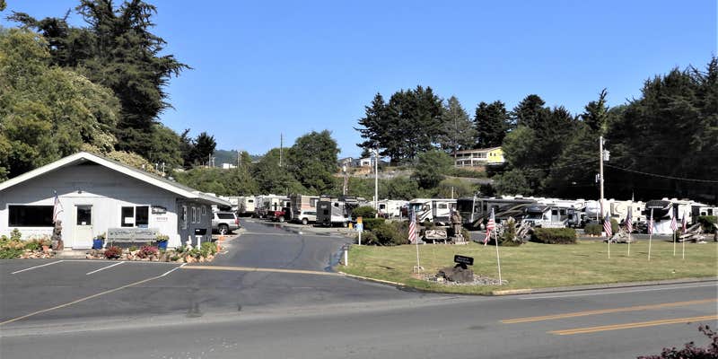 Camper submitted image from Driftwood RV Park