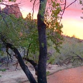 Review photo of South Campground — Zion National Park by Ashlee P., September 12, 2016