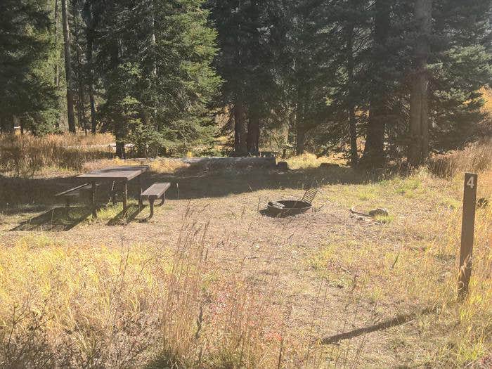 Camper submitted image from Big Creek — Payette National Forest - 1