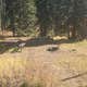 Big Creek — Payette National Forest