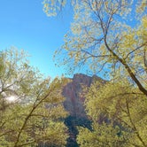 Review photo of South Campground — Zion National Park by Ashlee P., September 12, 2016