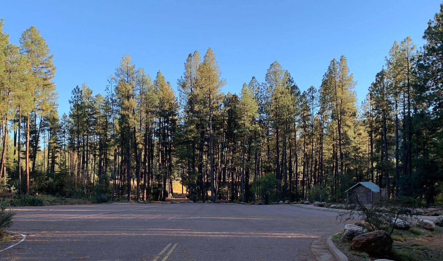 Camper submitted image from Lower Tonto Creek - 3