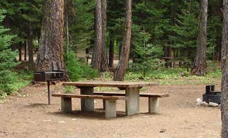 Camping near Paddy Flat - Jughandle Mountain Area, McCall RD: Kennally Creek, Spink, Idaho