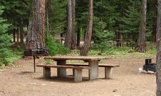 Camping near Paddy Flat - Jughandle Mountain Area, McCall RD: Kennally Creek, Spink, Idaho