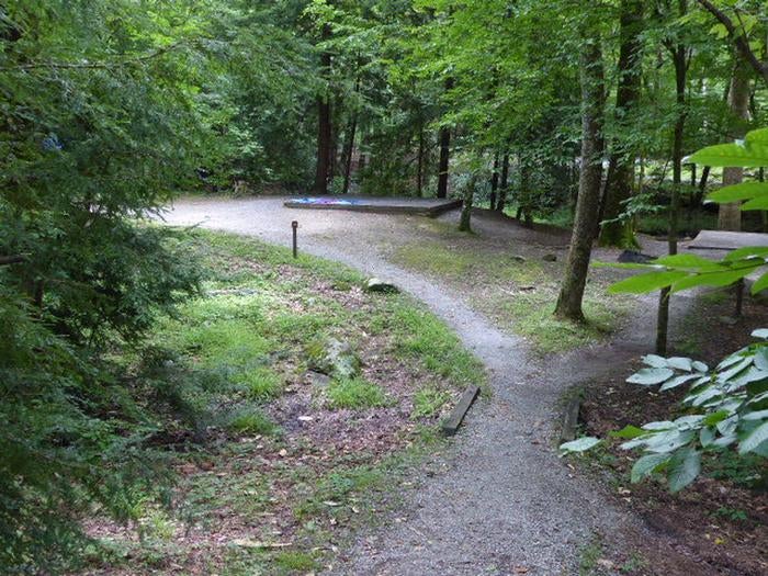 Camper submitted image from Elkmont Campground — Great Smoky Mountains National Park - 3