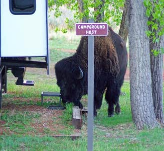 Camper-submitted photo from Juniper Campground Group Site — Theodore Roosevelt National Park