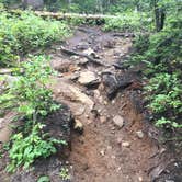Review photo of Watkins Glen State Park Campground by Sue T., September 12, 2016