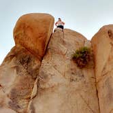 Review photo of Jumbo Rocks Campground — Joshua Tree National Park by Ashlee P., September 12, 2016