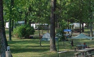 The Dyrt's photo at River Road Park near Poplar Bluff, MO