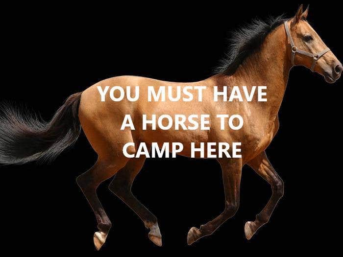 Camper submitted image from Wawona Horse Campsites — Yosemite National Park - 2