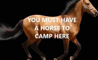 The Dyrt's photo of camping with a horse at Wawona Horse Campsites — Yosemite National Park near El Portal, CA