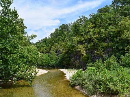 Camper submitted image from Sutton Bluff Recreation Area - 4