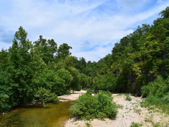 Camper submitted image from Sutton Bluff Recreation Area - 3