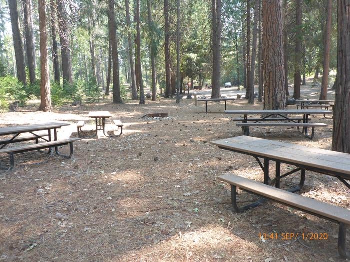 Camper submitted image from Dru Barner Campground - 1