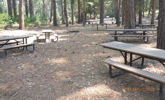 Camping near Reverie Retreat: Dru Barner Campground, Georgetown, California
