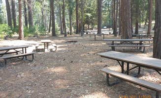 The Dyrt's photo at Dru Barner Campground — Eldorado National Forest near Placerville, CA