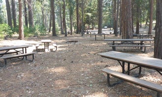 Camping near Black Oak Group Campground: Dru Barner Campground, Georgetown, California