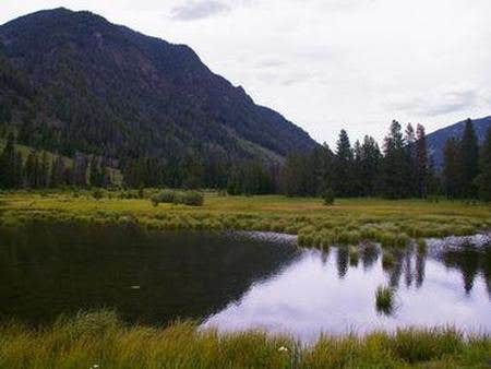 Camper submitted image from Beaver Creek Campground - 1