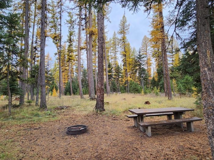 Camper submitted image from Big Larch Campground - 2