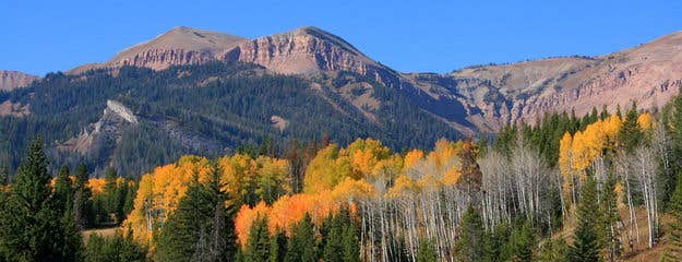Camping near Hoback Guard Station: Cliff Creek Road, Bondurant, Wyoming