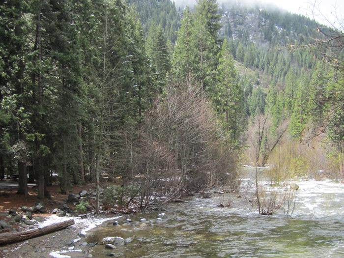 Camper submitted image from Tahoe National Forest Wild Plum Campground - 4
