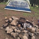 Review photo of Hawley Lake Apache Indian Res by Liza C., September 12, 2016