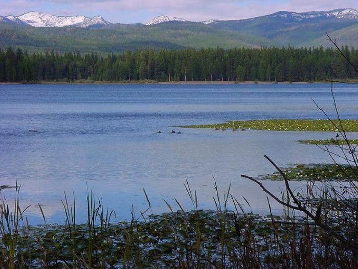 Camper submitted image from Big Larch Campground - 1