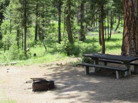 Campsites