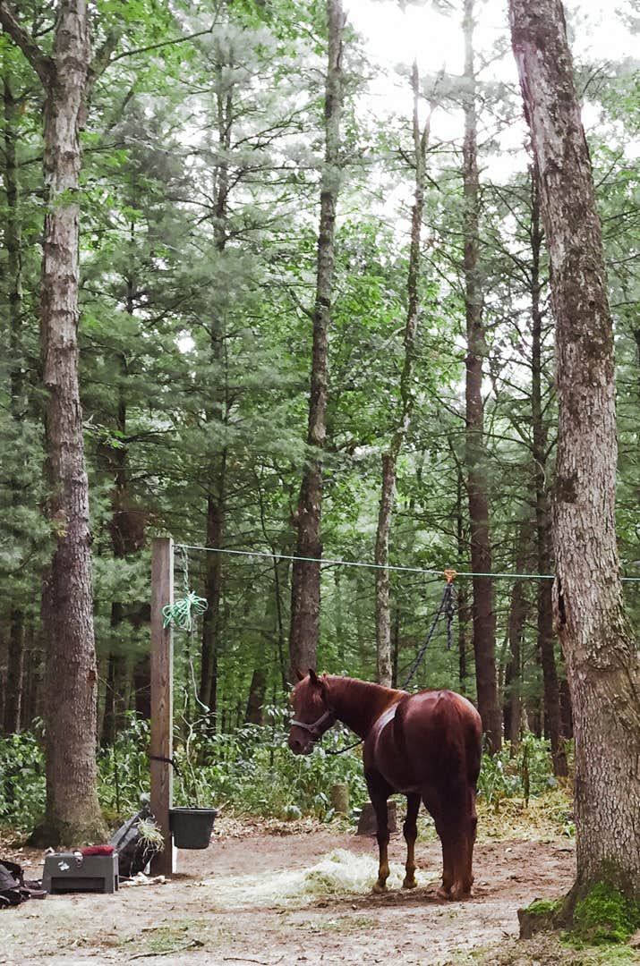 Silver Creek County Equestrian Park And Campground