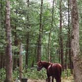 Review photo of Silver Creek County Park by Cathy S., May 18, 2016
