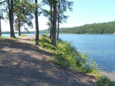 Camper submitted image from Lake Inez Point 6 (group Camp Site) - 5