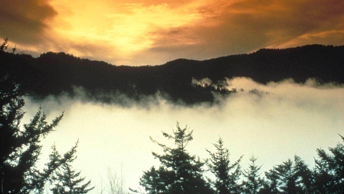 Camper submitted image from Tow String Horse Camp — Great Smoky Mountains National Park - 2