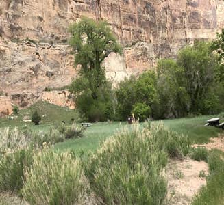 Camper-submitted photo from Echo Park Campground Group Site — Dinosaur National Monument