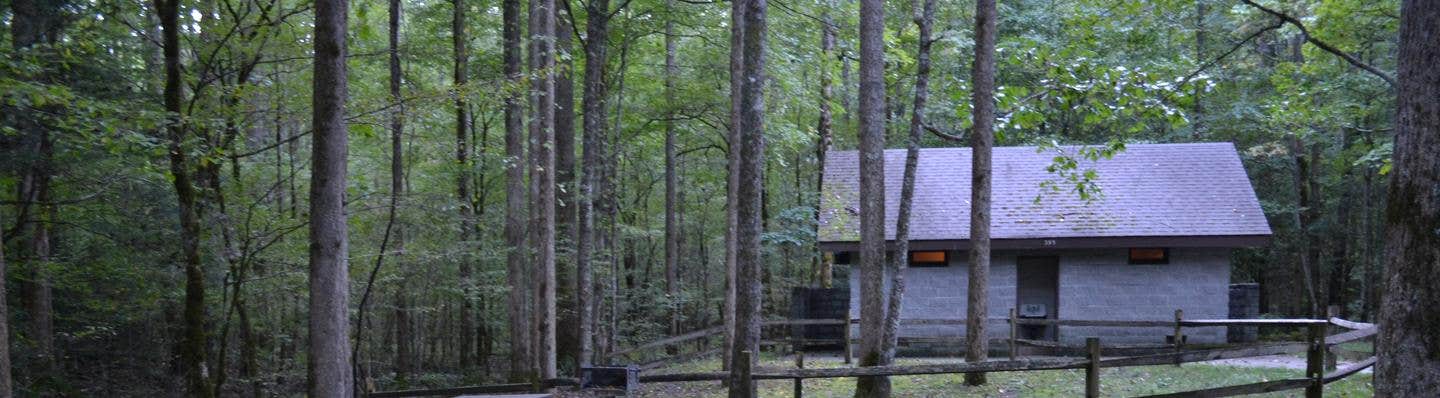 Camper submitted image from Big Creek Horse Camp — Great Smoky Mountains National Park - 4