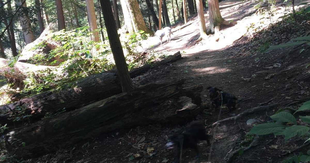 Mohican State Park Campground