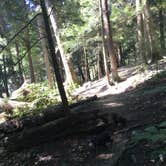 Review photo of Mohican State Park Campground by Shelly S., September 12, 2016