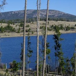 Public Campgrounds: Piney Campground And Boat Launch