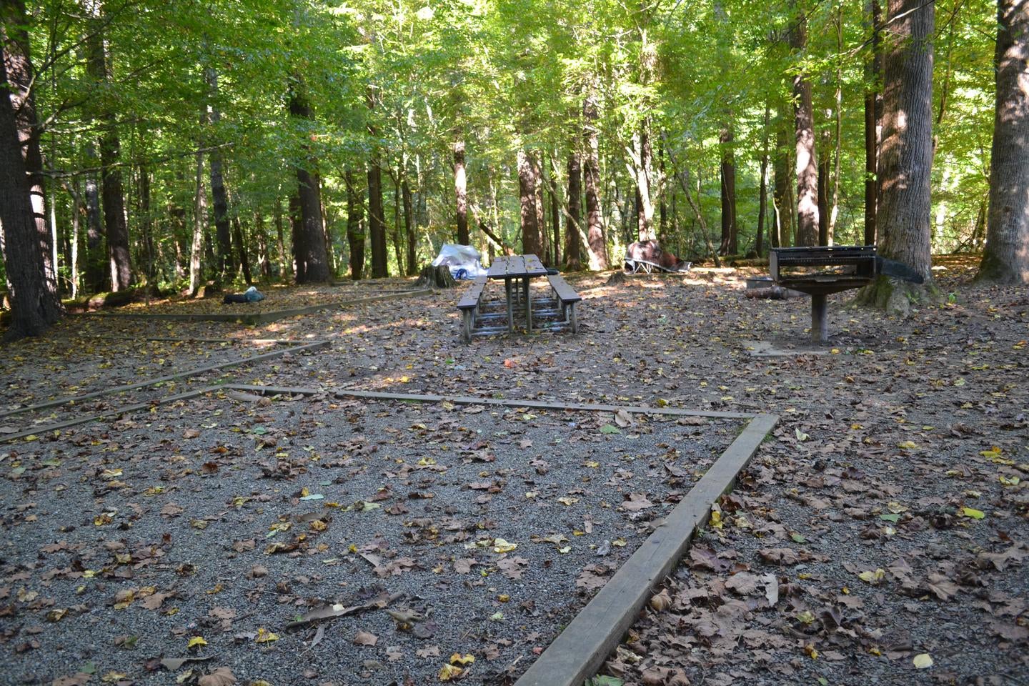 Camper submitted image from Cataloochee Group Campground — Great Smoky Mountains National Park - 2